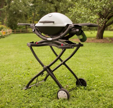 Asador de Gas Portátil Weber Q1200