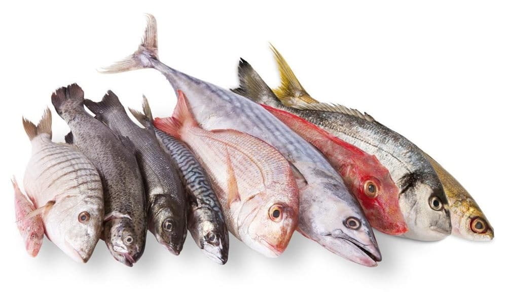 Tipo de Pescados para Comer - Recetas de Pescado
